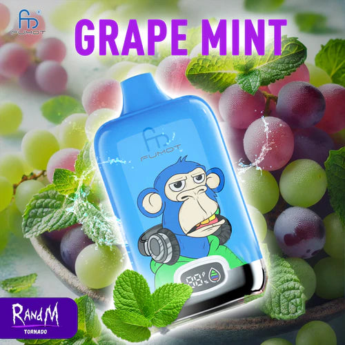 RandM Tornado 12000 Vape Grape Mint