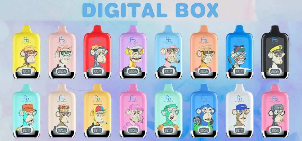 RandM Digital Box 12000