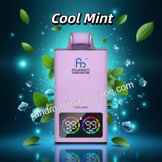 Cool Mint RandM Tornado 35000 Vape 