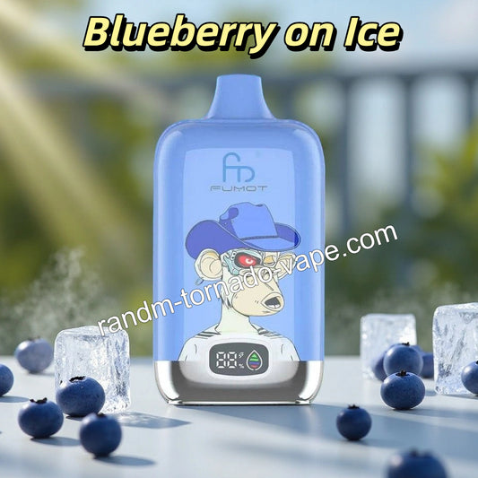 Blueberry on Ice RANDM 12000