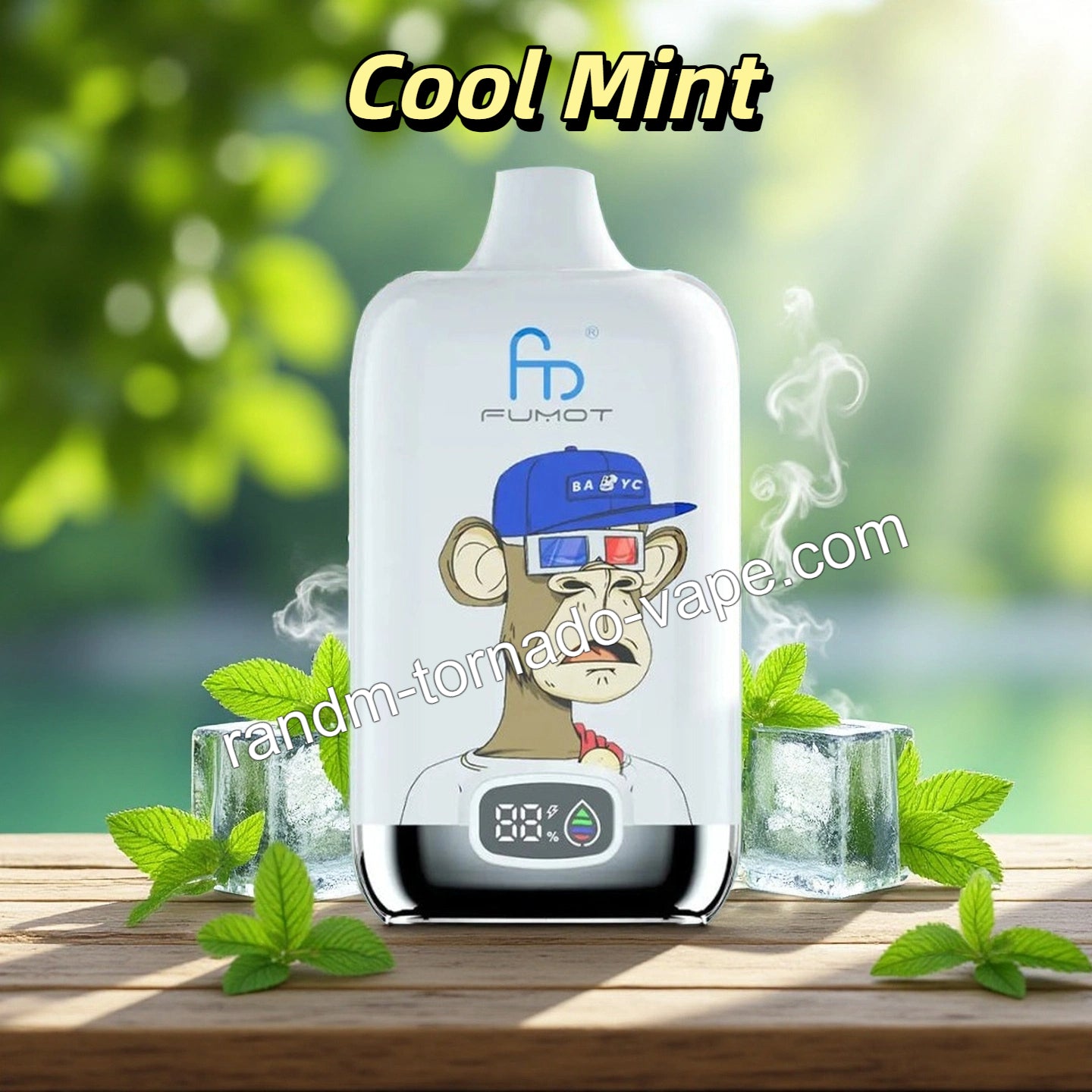 Cool Mint RandM Digital Box 12K Vape