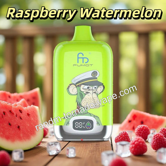 Raspberry Watermelon RandM Digital Box 12000