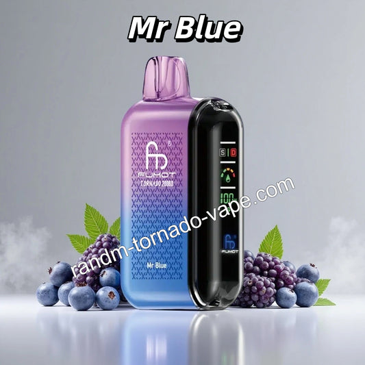 RandM Tornado 20000 Puffs Vape Mr Blue